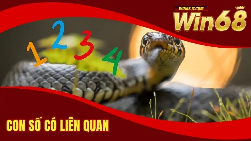 Con số có liên quan 
