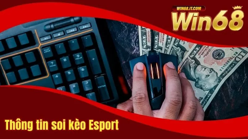 Toàn bộ thông tin về soi kèo Esport tại Win68